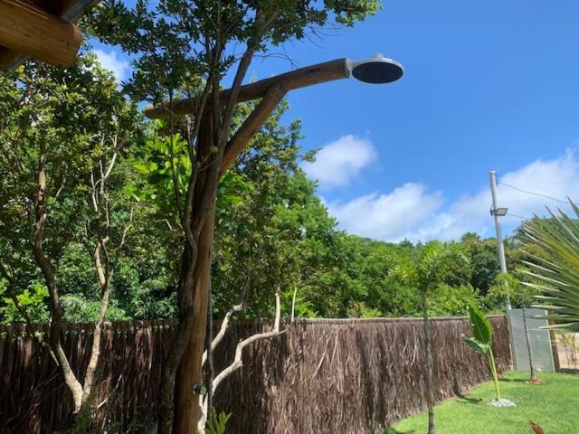 Bons Ventos Camping E Glamping Barra Grande  Exteriér fotografie